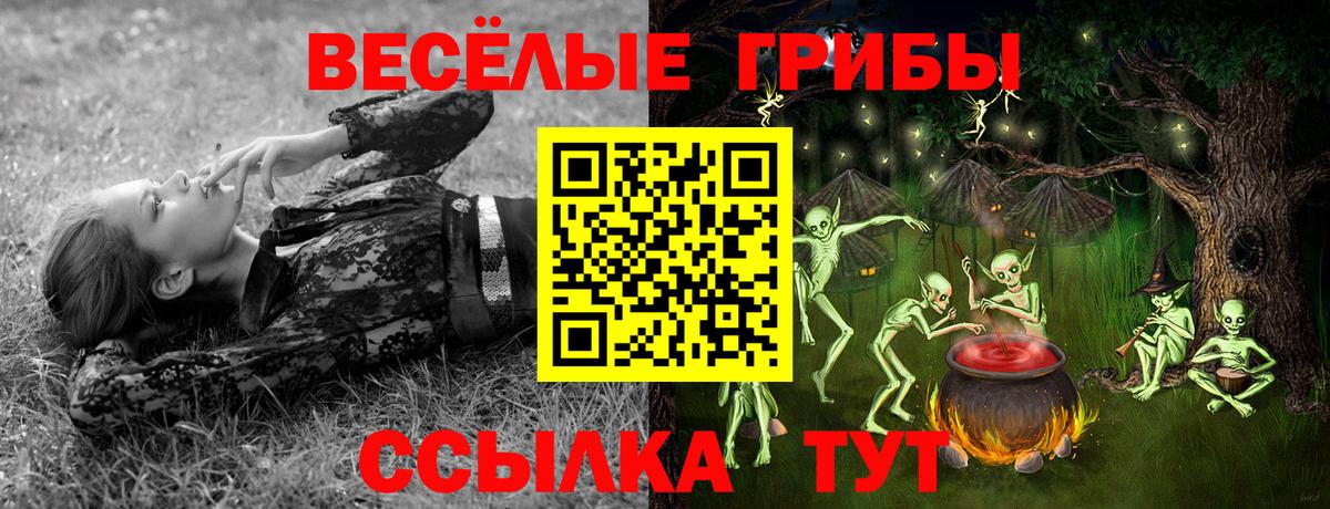 Михайловка  Псилоцибиновые грибы мицелий  дарнет шоп  Вход с VPN  Галлюциногенные грибы мухоморы 